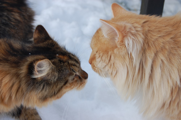 mit Freundin Evita.jpg